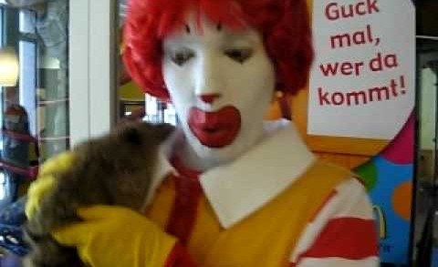 Ronald McDonalds – Hunger